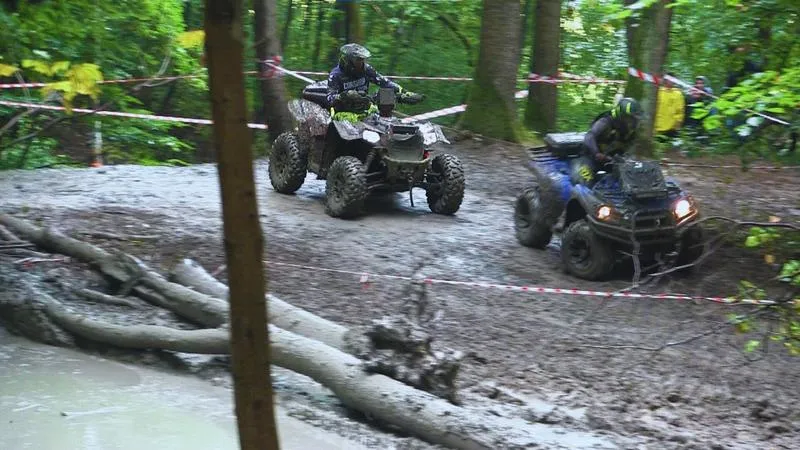 Emocje kibiców siatkówki