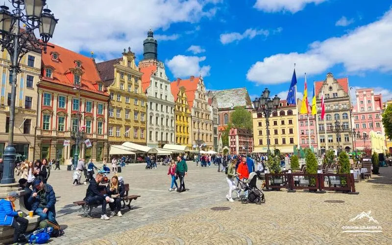 Strefa kibica Wrocław