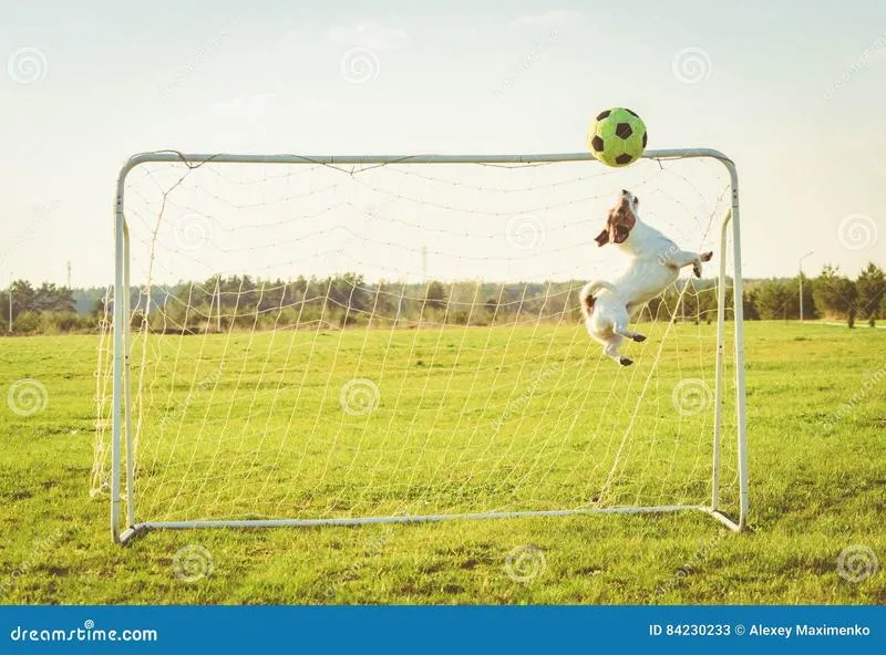 Techniki dryblingowe